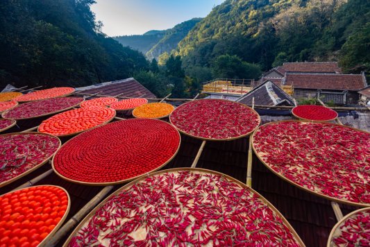 3aeab1dfdb650d53d564c9e99f017750