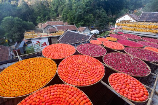 a1e203ad563385e5e67ed83328d0bf98