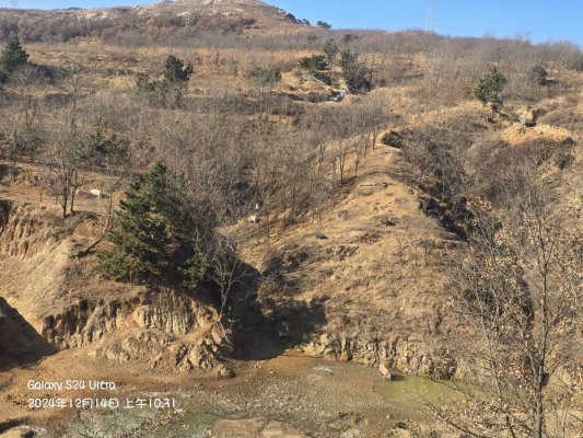 C:/Users/31738/Desktop/刘玉娜客户/微信图片_20250103133527.jpg微信图片_20250103133527