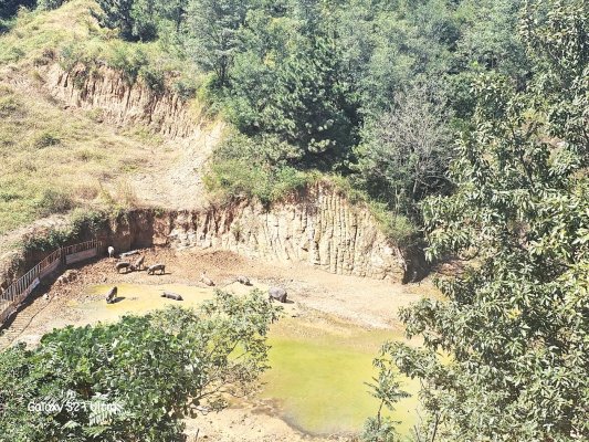 C:/Users/31738/Desktop/刘玉娜客户/微信图片_20250103133837.jpg微信图片_20250103133837