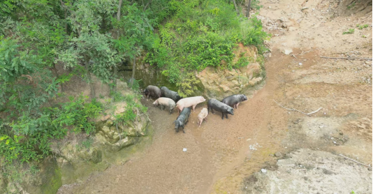 微信截图_20250103135631