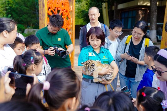 TT107093-opq4005741232