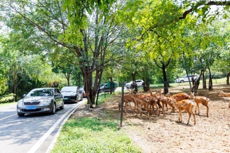 ec29d78ba462f800a987cddde6eefbbd