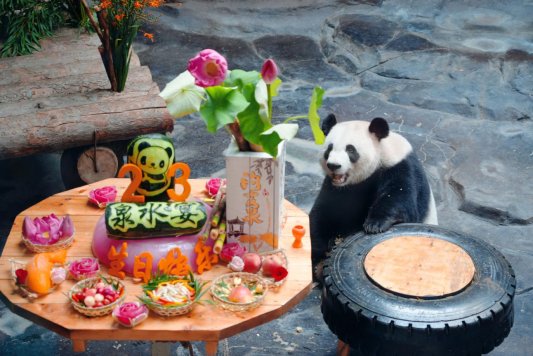 6deb148fc81b7b9da723fd6984905bdf