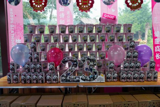 dd4ab9f805ae4e24699d99f3934d3775