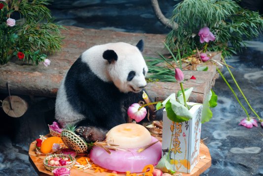 d44e8ec3a41fc8c1eb1de3b4b691fcc4