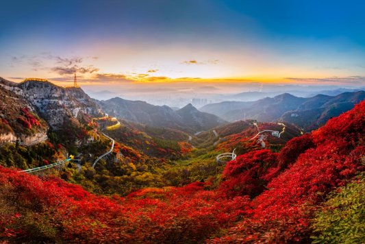 微信图片_20251105145052