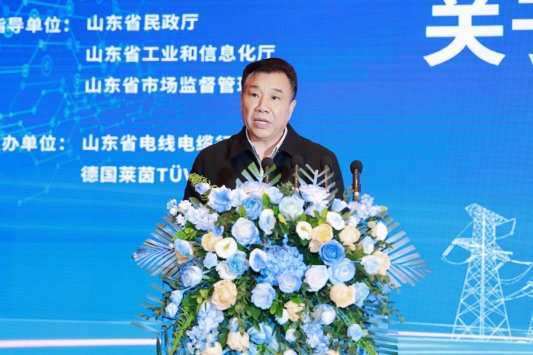 王兆波执行会长