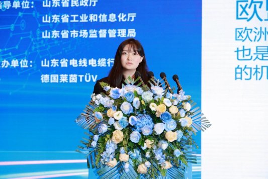 主题演讲环节7任玮